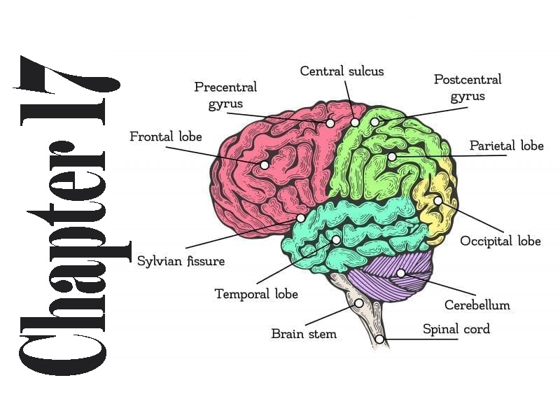 biology-chapter-17-class-12-short-questions-ahsa-pk