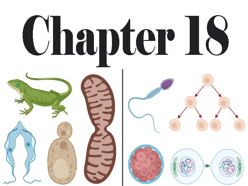 Biology Chapter 18 Class 12 Short Questions Ahsa pk