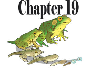 Biology Chapter 19 Class 12 Short Questions