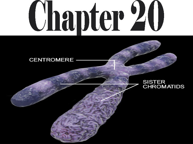 Biology Chapter 20 Class 12 Short Questions