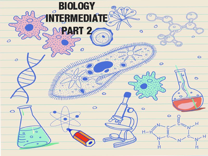 biology-important-short-questions-for-class-12-ahsa-pk