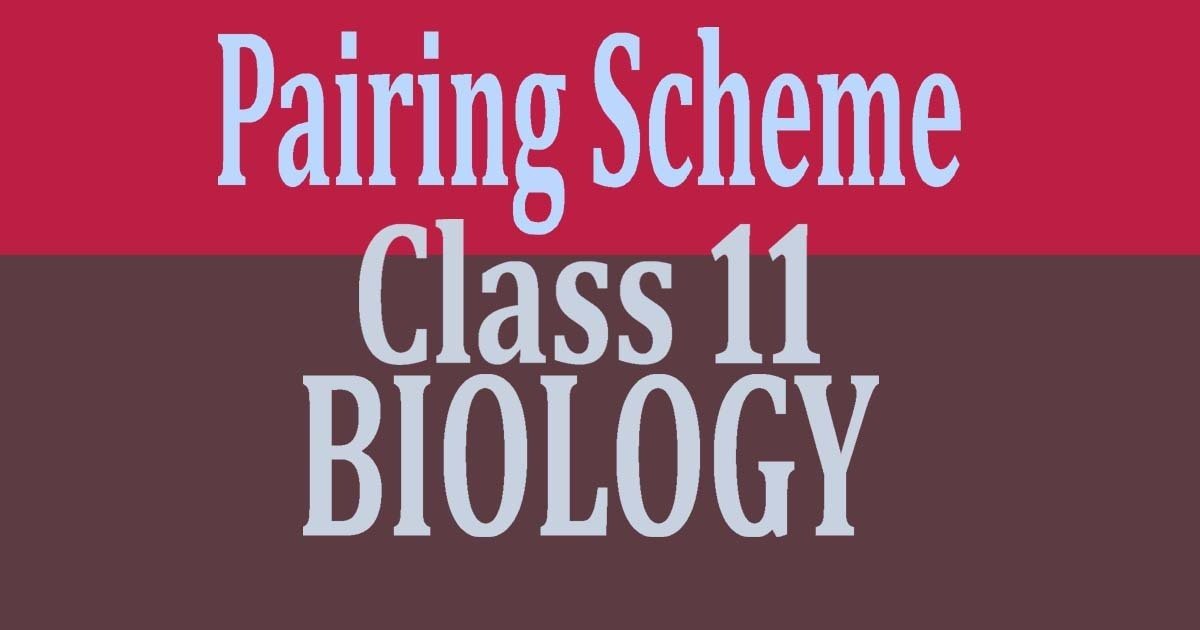 pairing-scheme-of-biology-class-11-2023-ahsa-pk