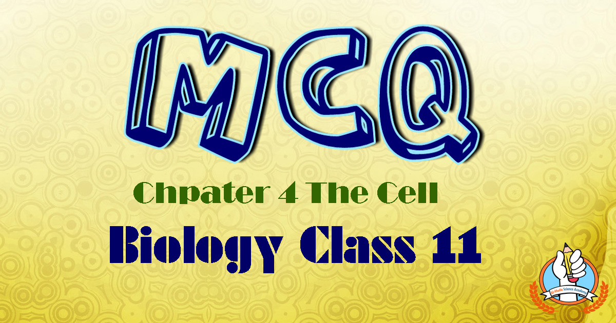 Biology Chapter 4 MCQs Class 11