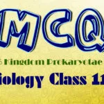 Biology Chapter 6 MCQs Class 11