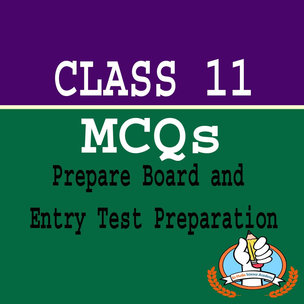 mcqs for class 11