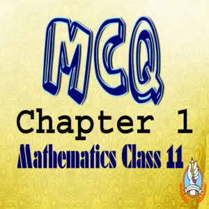Math Chapter 1 MCQs Class 11