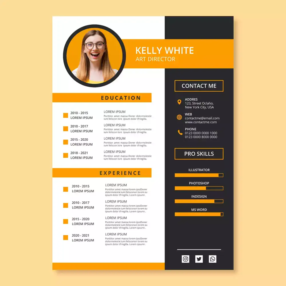 Best CV Formats
