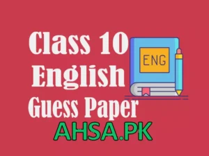 Class 10 English guess paper
