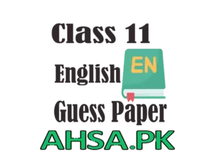 Guess paper English Class 11