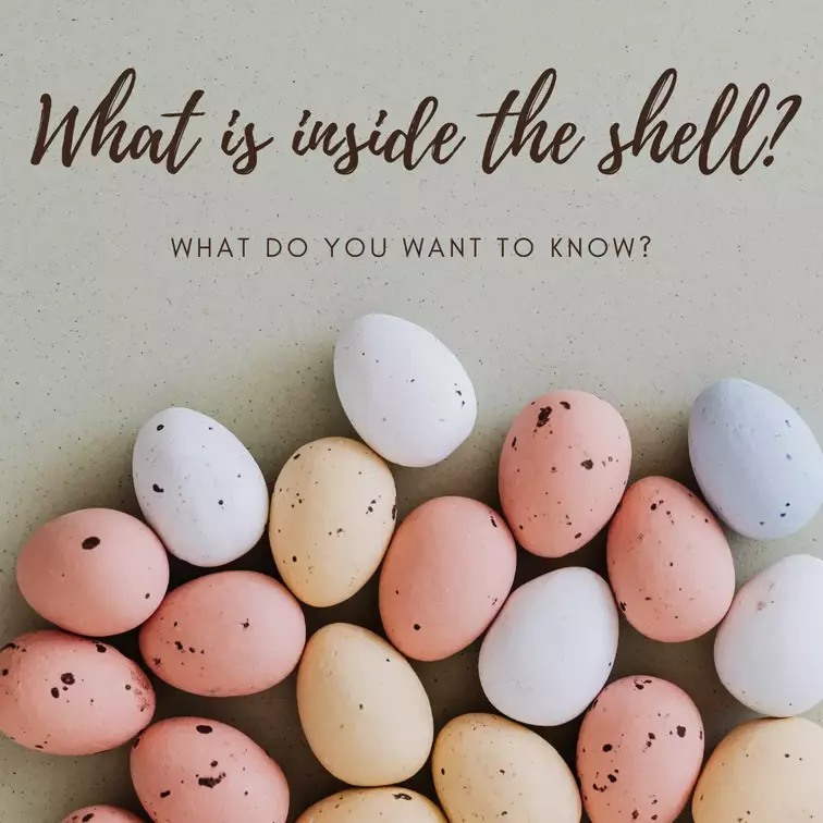 what is inside