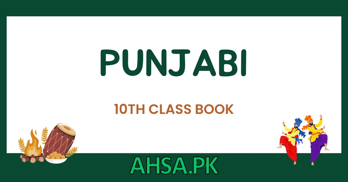 book of 10th class Punjabi