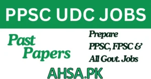 UDC job in the Motorway Police
