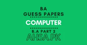 BA Part 2 Computer Guess Paper