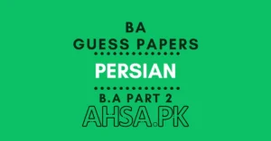 BA Part 2 Persian Guess Paper