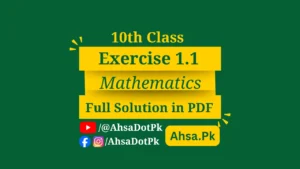 Exercise 1.1 Class 10 Maths Chapter 1 Complex Numbers solved notes
