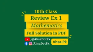 Review Exercise 1 Class 10 Maths Chapter 1 Complex Numbers Solved