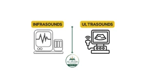 Difference Between Infrasound and Ultrasound