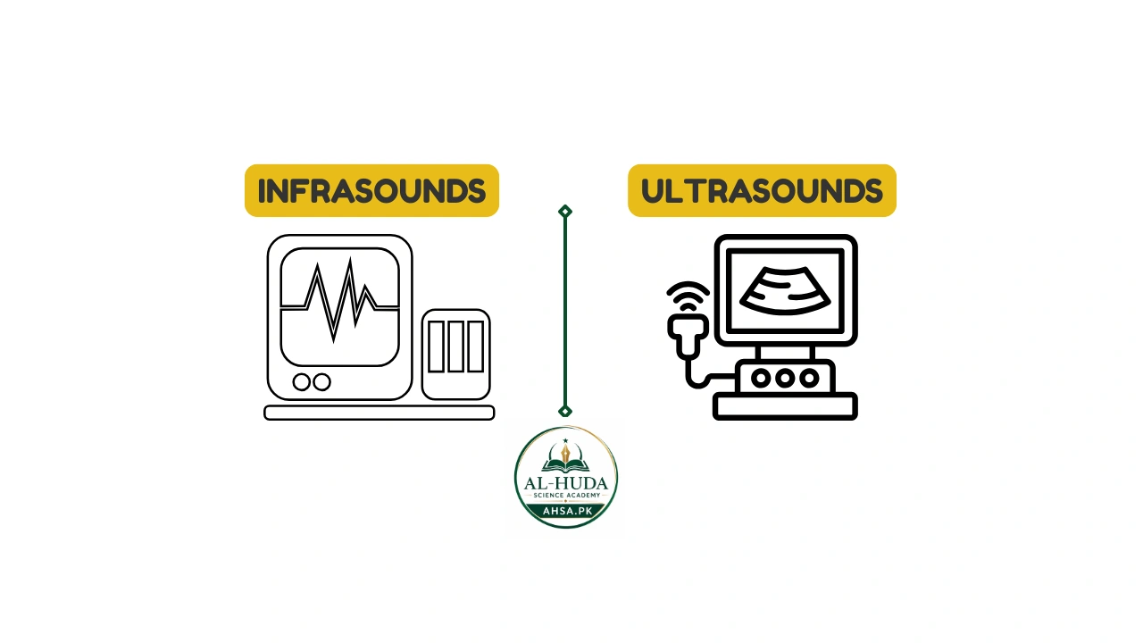 Difference Between Infrasound and Ultrasound