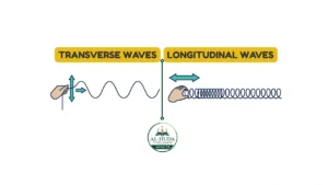 Difference Between Transverse and Longitudinal Waves