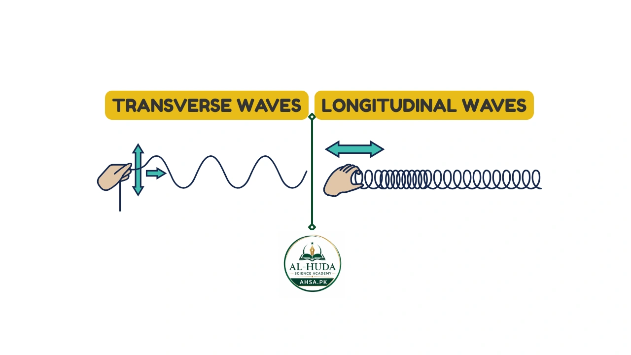 Difference Between Transverse and Longitudinal Waves
